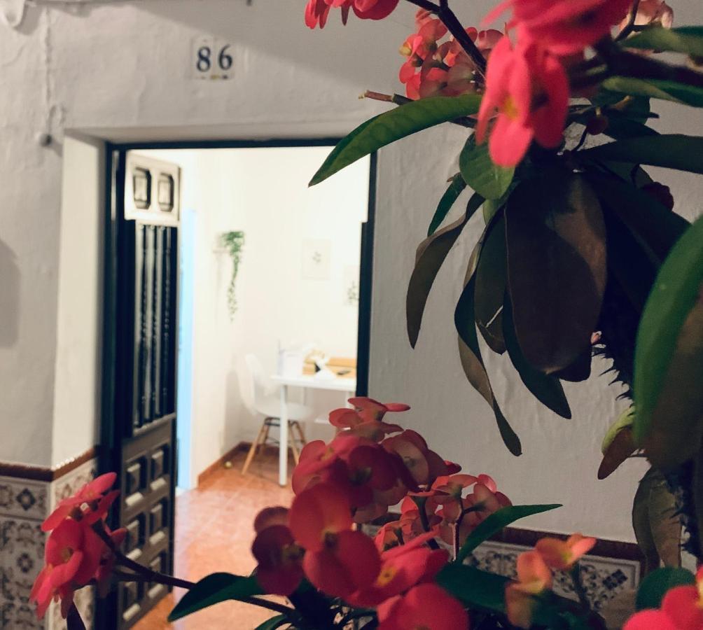 Casa Rural Dian - Centro Torrox Εξωτερικό φωτογραφία